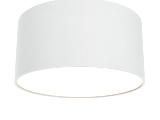 Потолочный светильник Technical C032CL-12W3K-RD-W фото:3