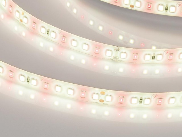 Лента FITOLUX-SE-A144-10mm 24V Day5000-Red (14 W/m, IP65, 2835, 5m) (Arlight, 14 Вт/м, IP65) фото:13