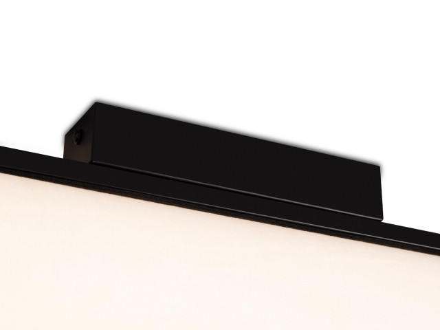 Потолочный светильник Freya FR5625CL-L20B фото:1