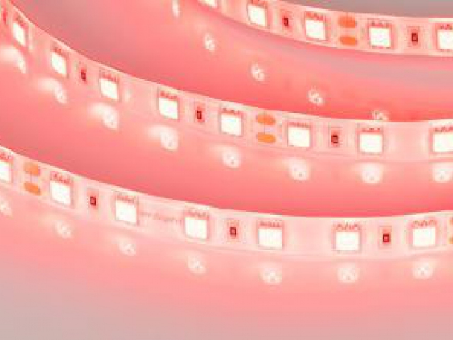 Лента RTW 2-5000SE 24V Red 2x (5060, 300 LED, LUX) (Arlight, 14.4 Вт/м, IP65) фото:2