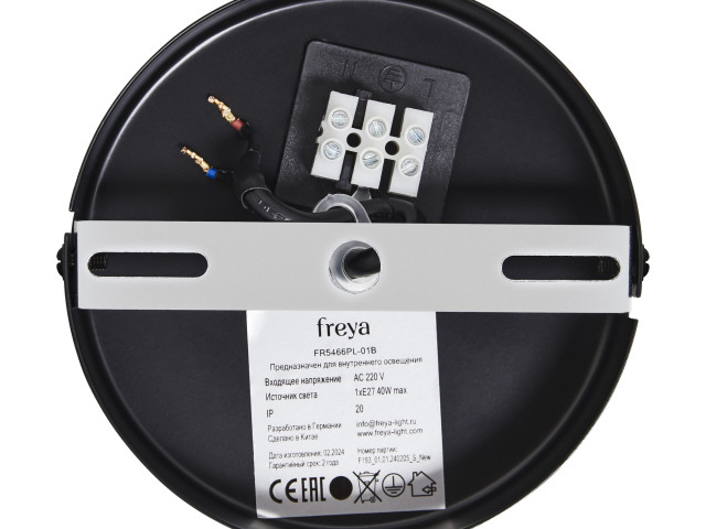 Подвесной светильник Freya FR5466PL-01B фото:10