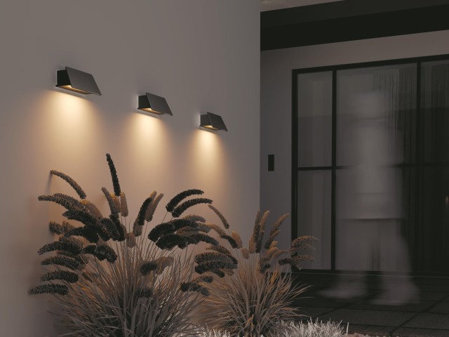Настенный светильник (бра) Outdoor O429WL-L6GF3K фото:1