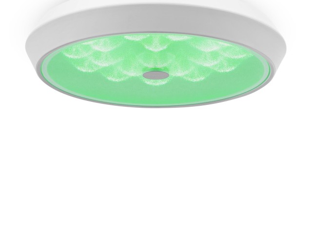 Потолочный светильник Freya FR10012CL-L24W фото:7