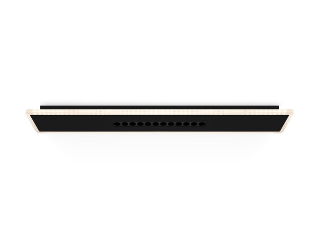 Потолочный светильник Freya FR6105CL-L40B фото:1