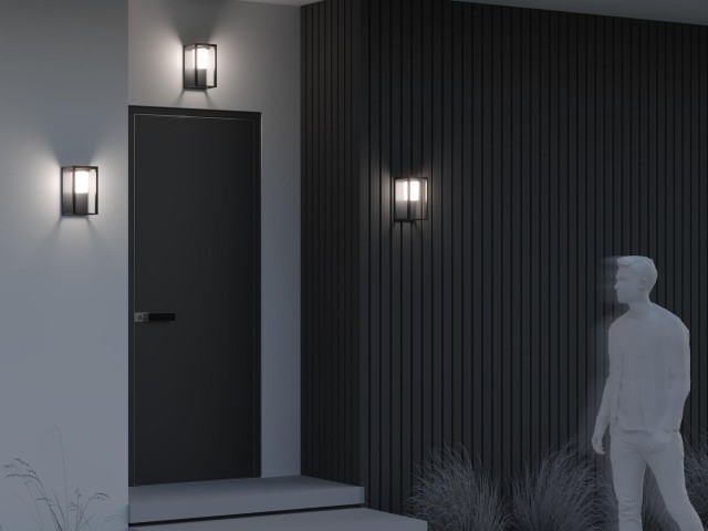 Настенный светильник (бра) Outdoor OSL457WL-L2GF3K фото:8