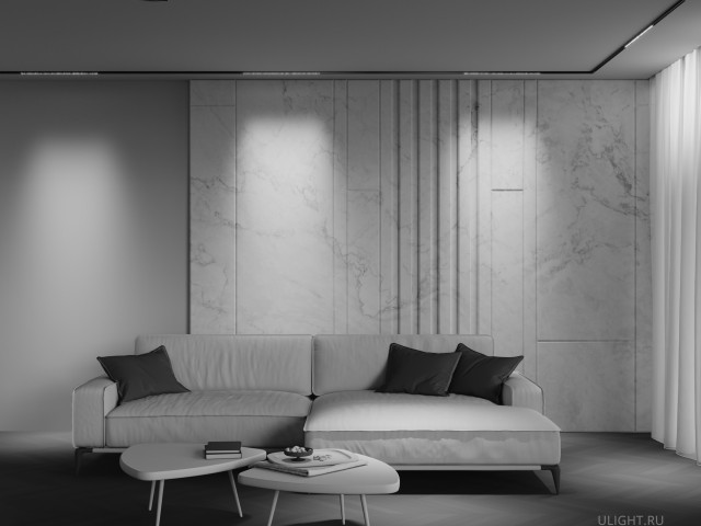 Трековый светильник Technical TR241-2-12W3K-B фото:1