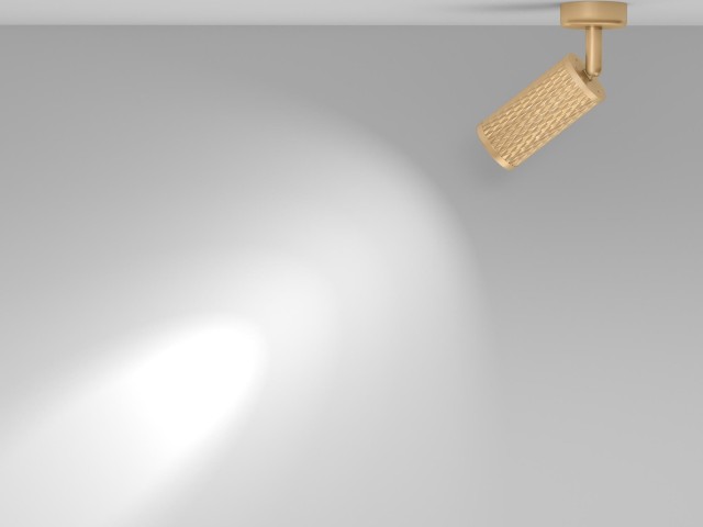 Потолочный светильник Technical C034CL-01G фото:6