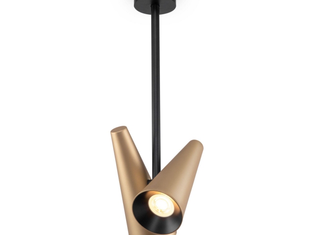 Потолочный светильник Maytoni MOD095CL-02BS фото:2