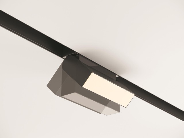 Трековый светильник Technical TR013-2-10W3K-B фото:4