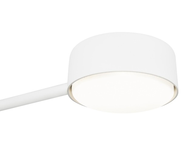 Потолочный светильник Freya FR5363CL-02W1 фото:3