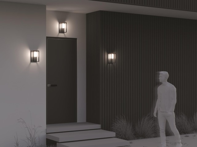 Настенный светильник (бра) Outdoor OSL457WL-L2GF3K фото:10