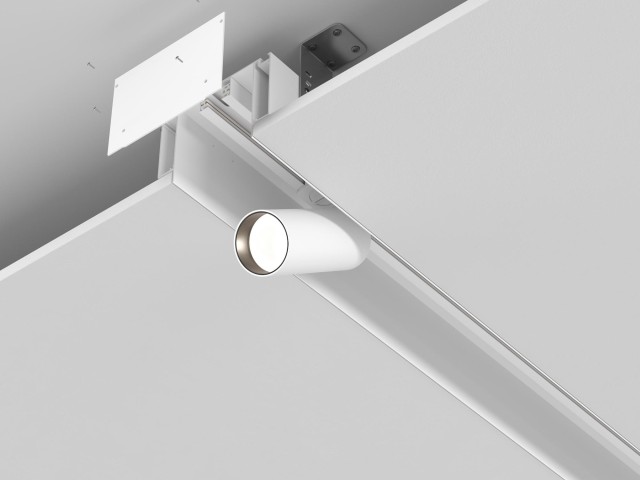 Комплектующие для светильника Technical ALM-11681-PL-W-2M фото:1