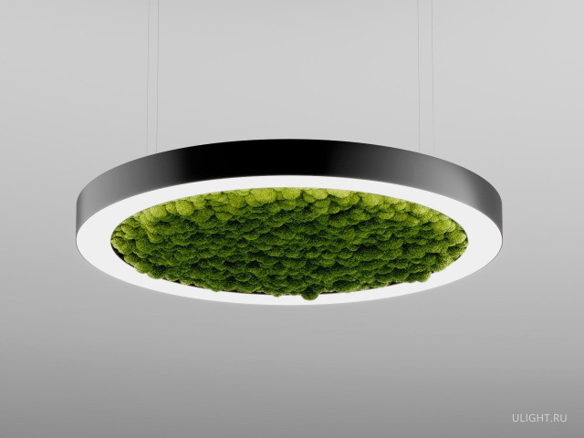 Модульный светильник HOKASU Halo Moss (кольцо со мхом) Фото:1