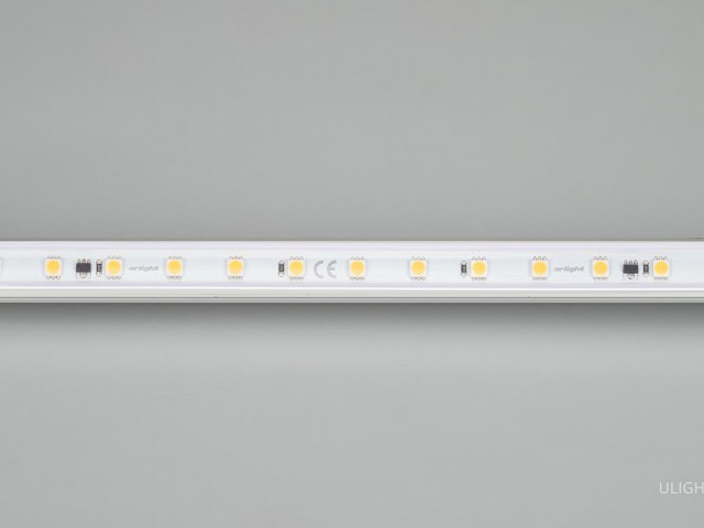 Лента ARL-50000PV-230V Cool 10K (5060, 54 LED/m, WP2) (Arlight, 8 Вт/м, IP65) фото:1