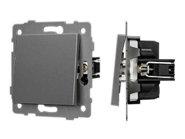 Механизм выключателя одноклавишный непроходной SWT-MK01-PL-GR-V (250V, 10A) (Arlight, -) фото:1