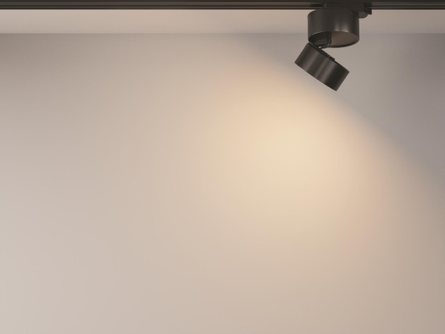 Трековый светильник Technical TR007-1-12W3K-B фото:12