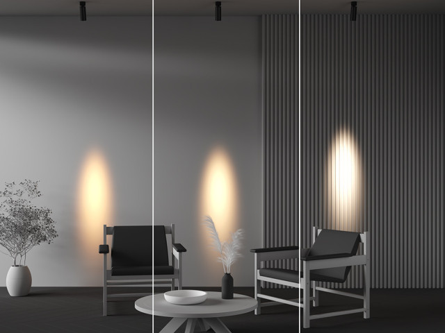 Потолочный светильник Technical C055CL-L12W3K-SS-B фото:2