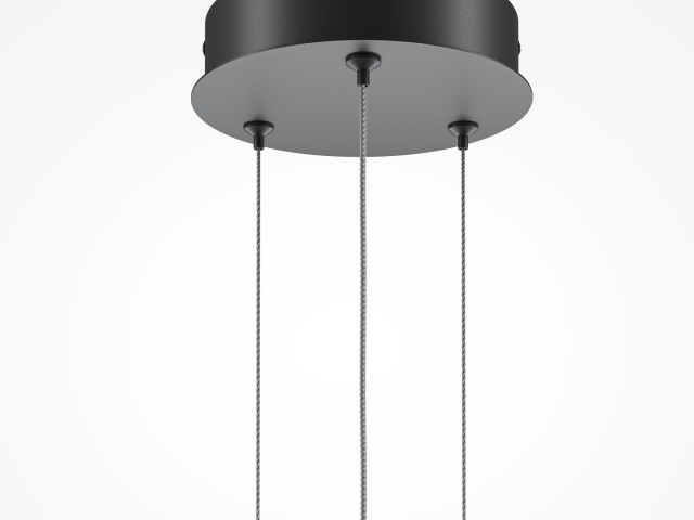Подвесной светильник Maytoni MOD247PL-L49BK фото:10
