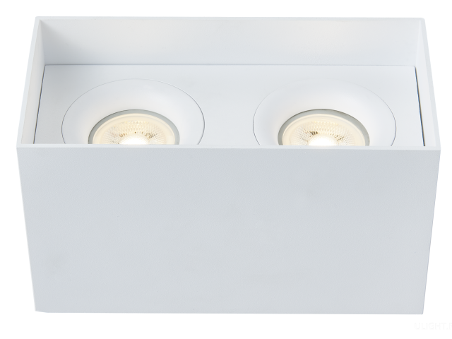 Потолочный светильник Technical C015CL-02W фото:5