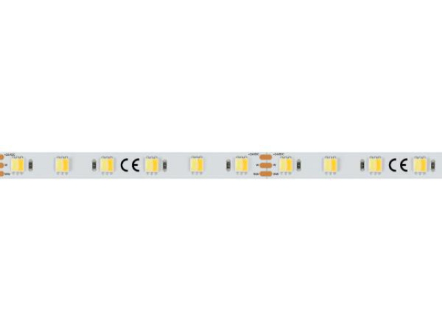 Лента RT 6-5000 24V White-MIX-One 2x (5060, 60 LED/m, LUX) (Arlight, Изменяемая ЦТ) фото:3