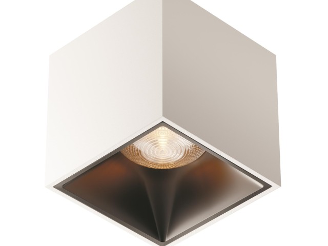 Потолочный светильник Technical C065CL-L12W3K-D фото:10