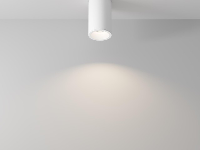 Потолочный светильник Technical C029CL-01-S-W фото:15