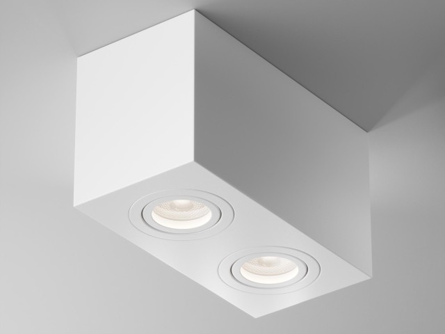 Потолочный светильник Technical C017CL-02W фото:16