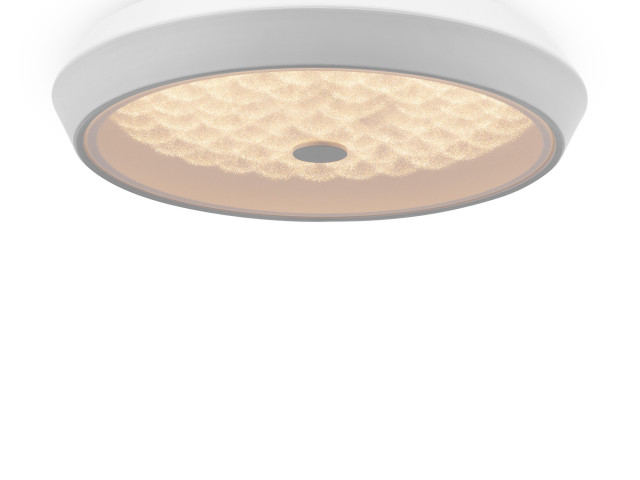 Потолочный светильник Freya FR10012CL-L24W фото:10