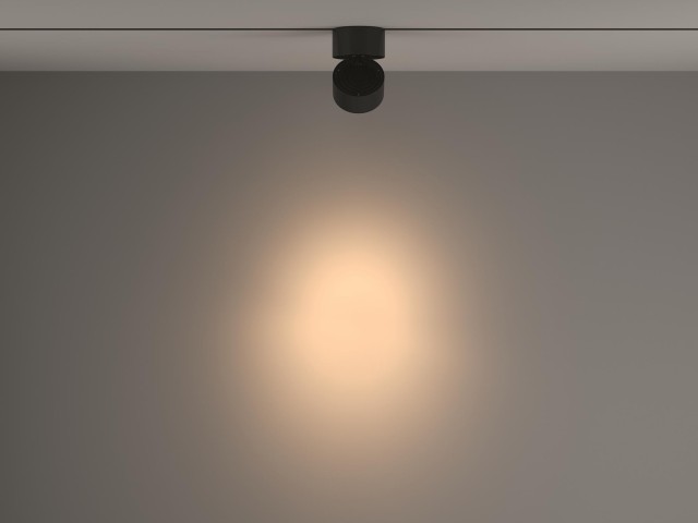 Трековый светильник Technical TR084-1-15W3K-B фото:4