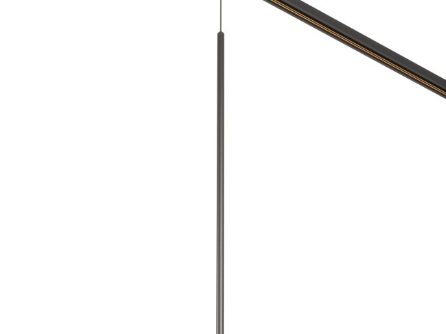 Светильник MAG-ORIENT-SPOT-HANG-L600-R12-2W Warm3000 (BK, 20 deg, 48V) (Arlight, IP20 Металл, 5 лет) фото:1