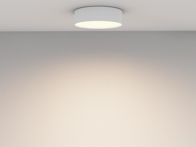Потолочный светильник Technical C032CL-24W3K-RD-W фото:2