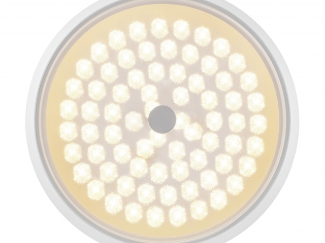 Потолочный светильник Freya FR10012CL-L24W фото:11