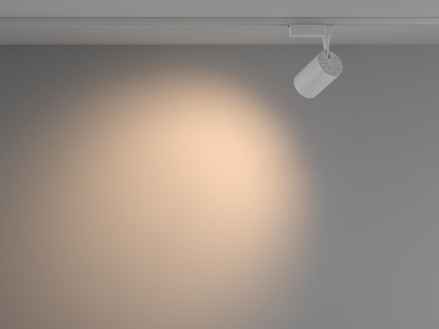 Трековый светильник Technical TR003-1-26W3K-W-W фото:5