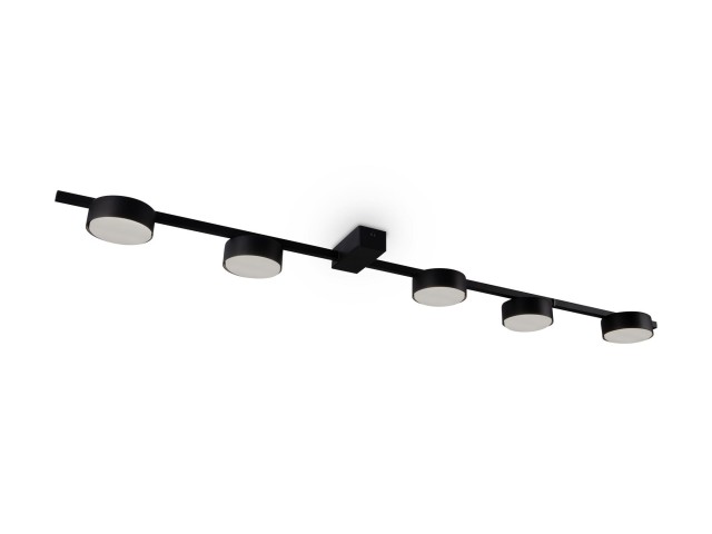 Потолочный светильник Freya FR5363CL-05B фото:5