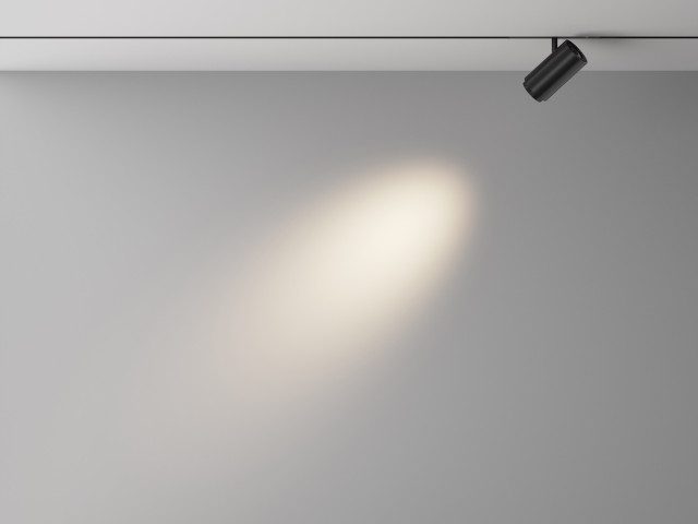 Трековый светильник Technical TR244-12W4K-B фото:5