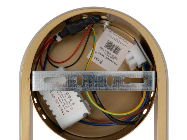 Настенный светильник (бра) Freya FR6074WL-L10G фото:14