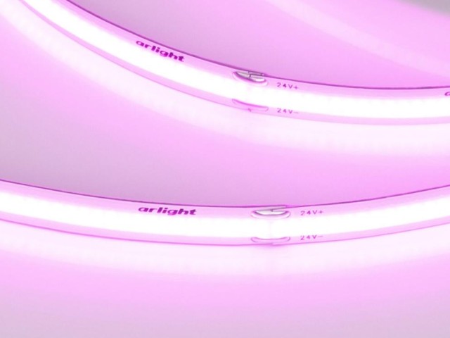 Лента COB-X480-8mm 24V Magenta (8 W/m, IP20, 5m) (Arlight, -) фото:1