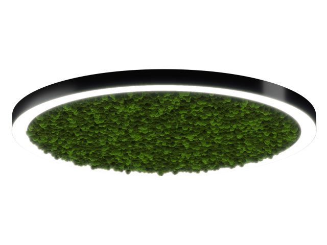 Светильник HOKASU Halo Moss (RAL9005/D1400/LT70 — 4K/132W/120deg) фото:1