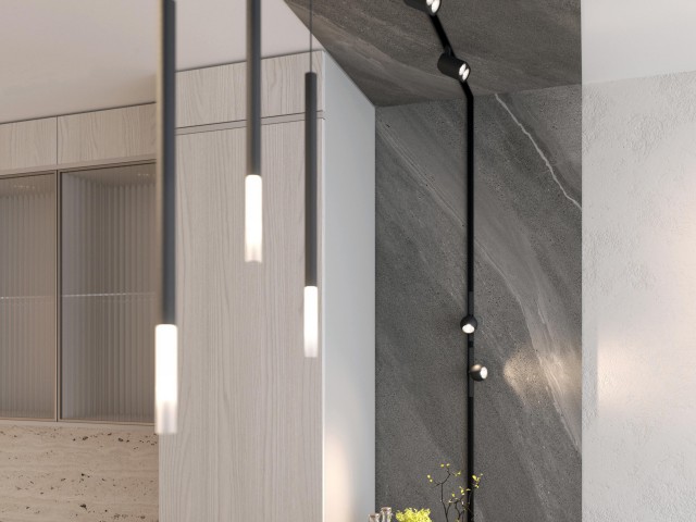 Светильник MAG-ORIENT-STICK-HANG-R20-3W Warm3000 (BK, 180 deg, 48V) (Arlight, IP20 Металл, 5 лет) фото:4