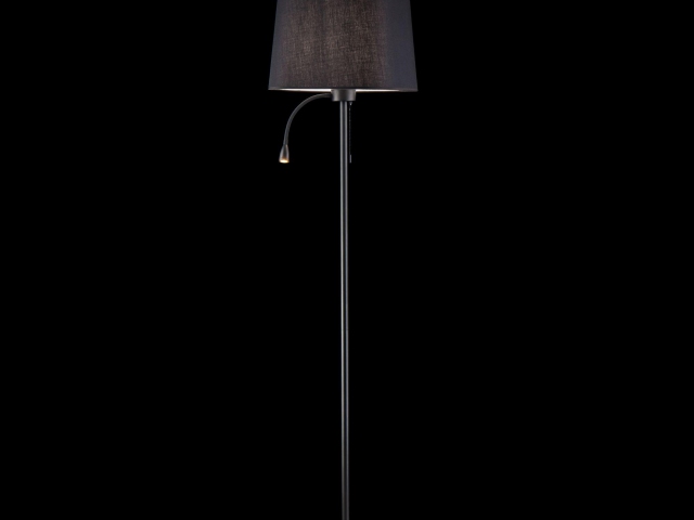 Напольный светильник (торшер) Maytoni Z001FL-L3W-1B фото:6