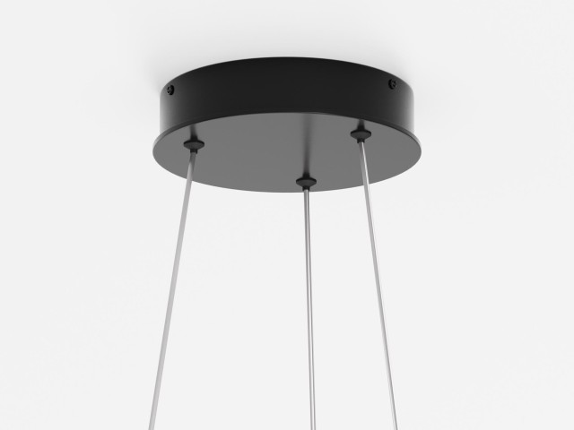 Подвесной светильник Maytoni MOD058PL-L22BK фото:6