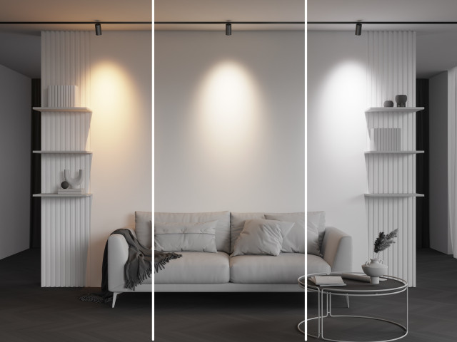 Трековый светильник Technical TR243-4-12WTW-DD2-B фото:2