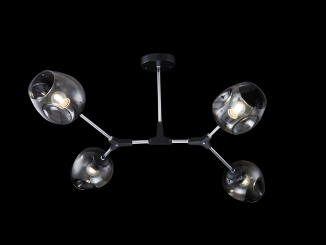 Потолочный светильник Freya FR5006CL-04B фото:2