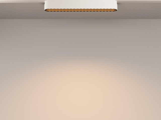 Трековый светильник Technical TR084-1-12W3K-W фото:2
