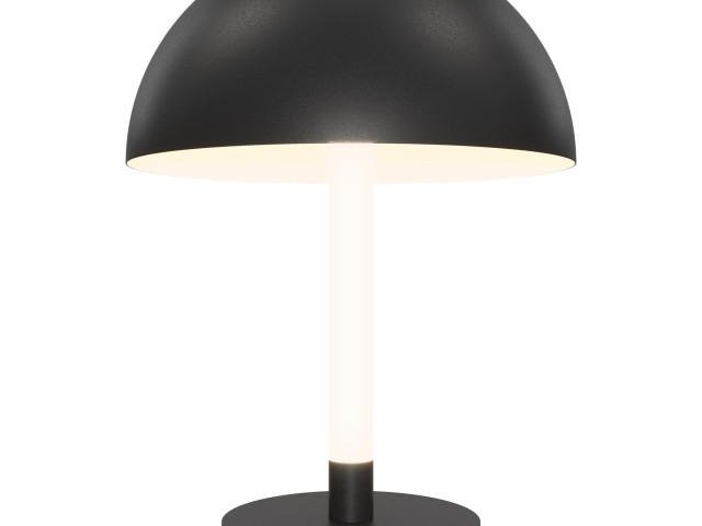 Настольный светильник Maytoni Z012TL-L8B3K фото:6