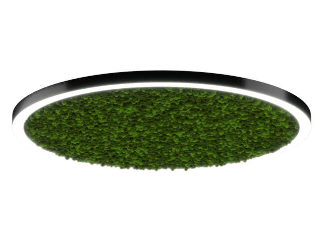 Светильник HOKASU Halo Moss (RAL9005/D1850/LT70 — 4K/174W/120deg) фото:1