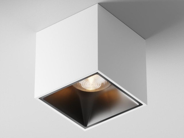 Потолочный светильник Technical C065CL-L12W3K-D фото:8