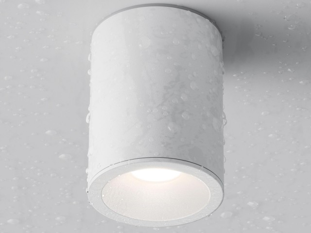 Потолочный светильник Technical C029CL-01-S-W фото:24