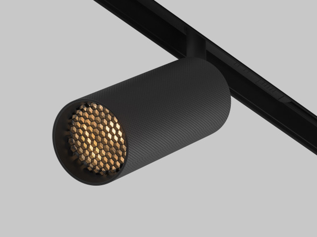 Трековый светильник Technical TR097-2-12W2.7K-M-BB фото:265
