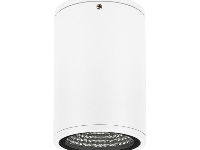 Светильник LGD-FORMA-SURFACE-R90-12W Day4000 (WH, 44 deg, 230V) (Arlight, IP54 Металл, 3 года) фото:6